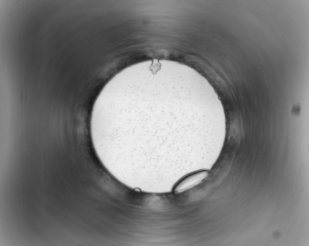 X0000103150616200809192031