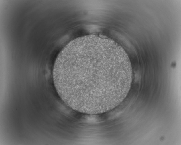 X0000103150618200809192031