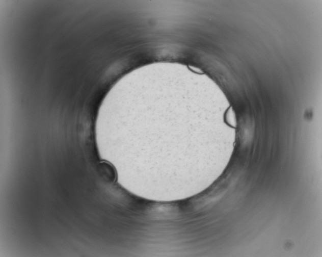 X0000103150619200809192031