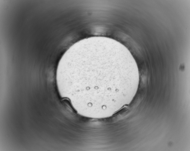 X0000103150620200809192031