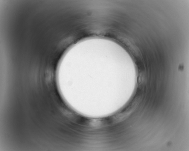 X0000103150623200809192031