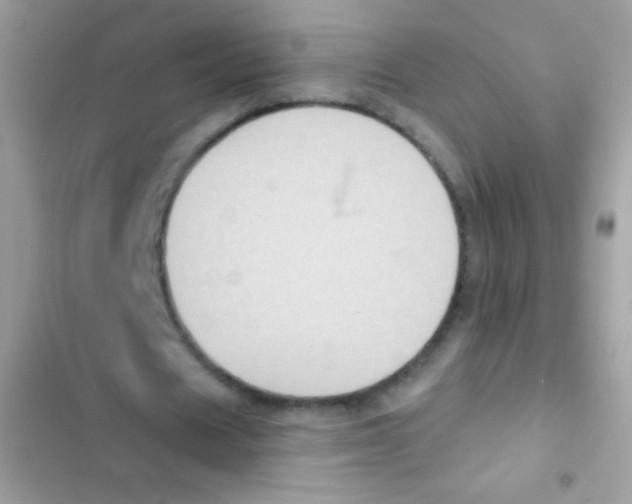 X0000103150625200809192030