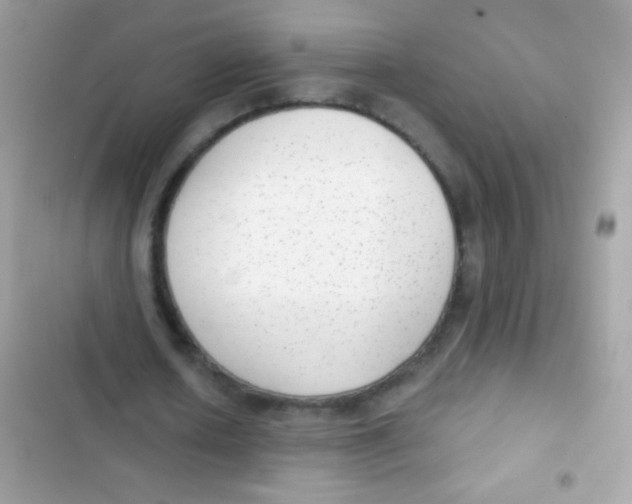 X0000103150626200809192030