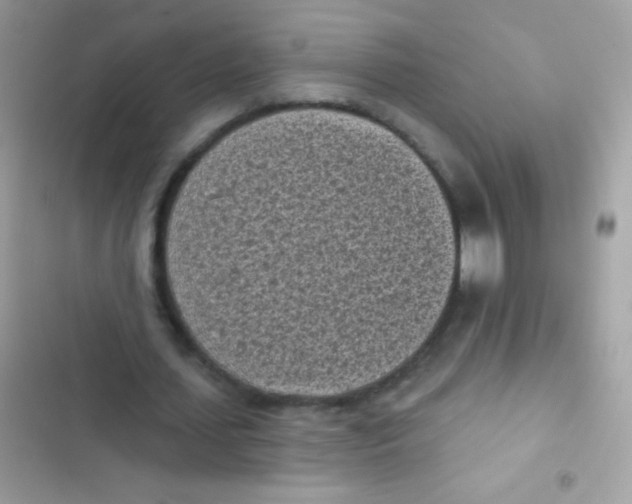 X0000103150627200809192030