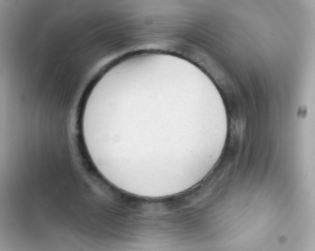 X0000103150628200809192030