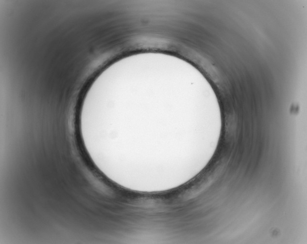 X0000103150629200809192030