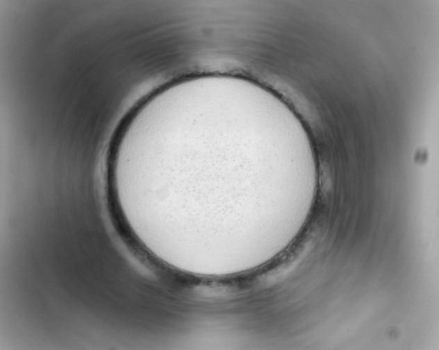 X0000103150630200809192030