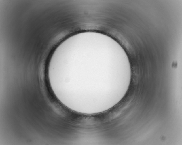 X0000103150631200809192030