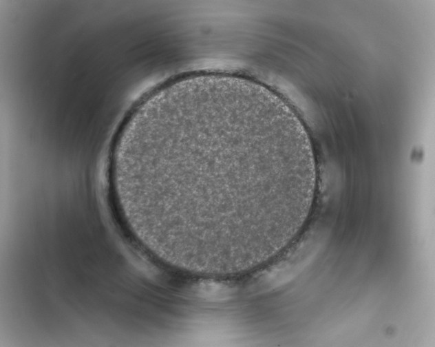 X0000103150632200809192030