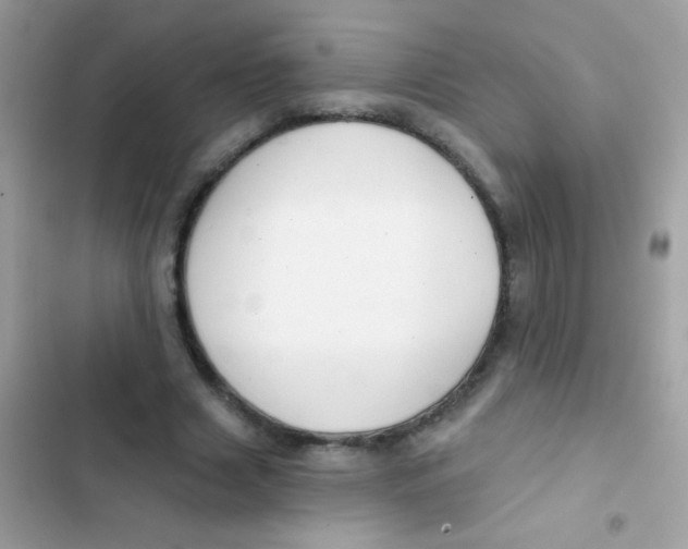 X0000103150633200809192030