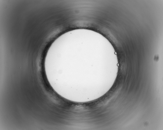 X0000103150635200809192030