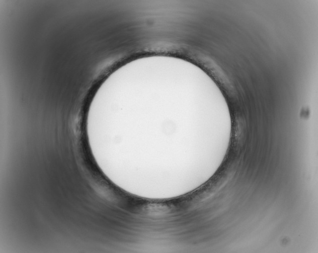 X0000103150636200809192030