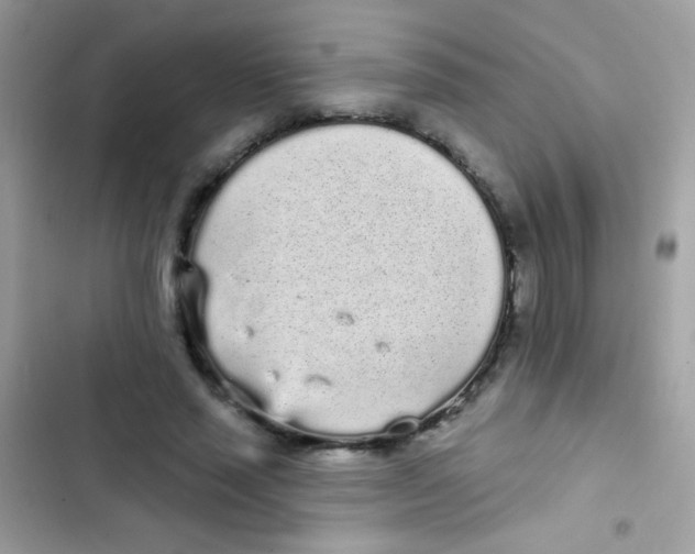 X0000103150637200809192030