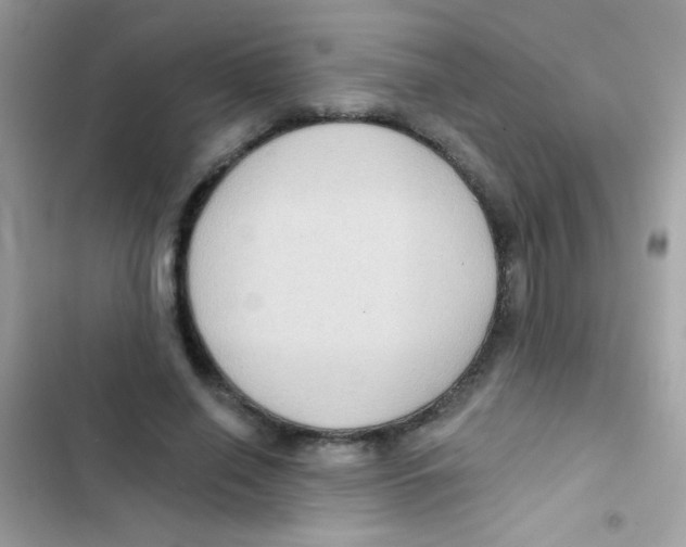 X0000103150638200809192030