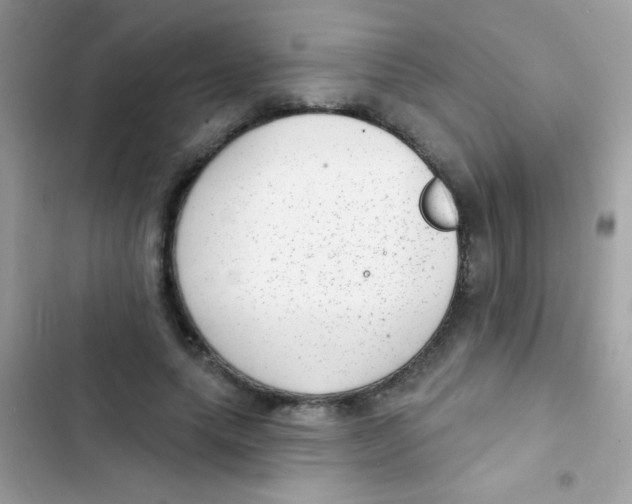 X0000103150639200809192030