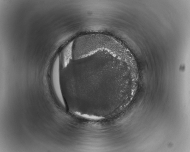 X0000103150640200809192030