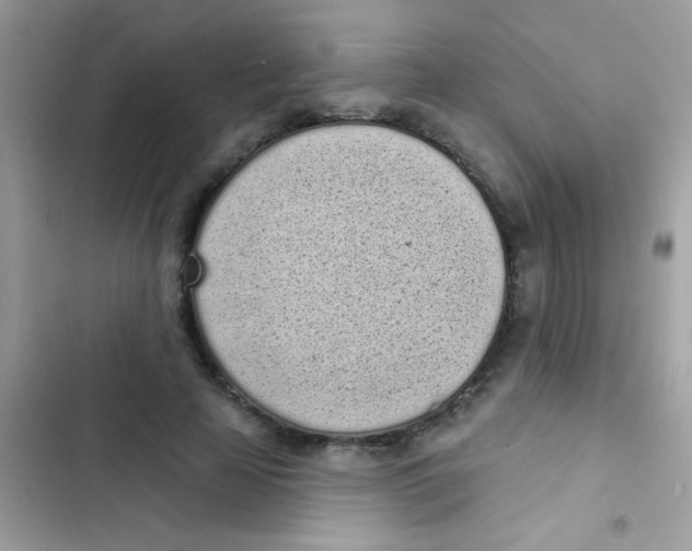 X0000103150641200809192030