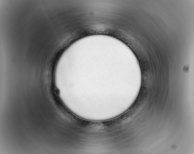 X0000103150642200809192030