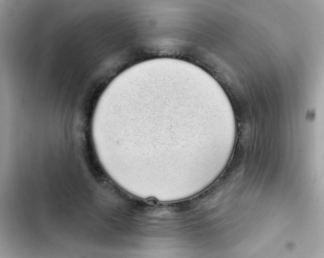 X0000103150643200809192030