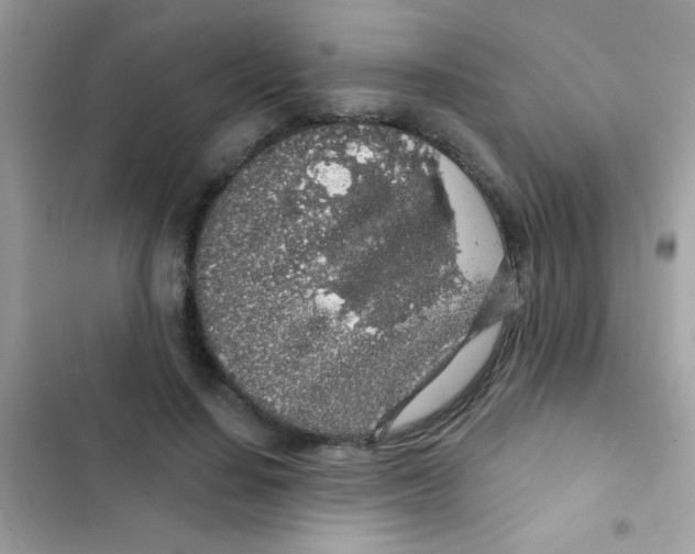 X0000103150644200809192030