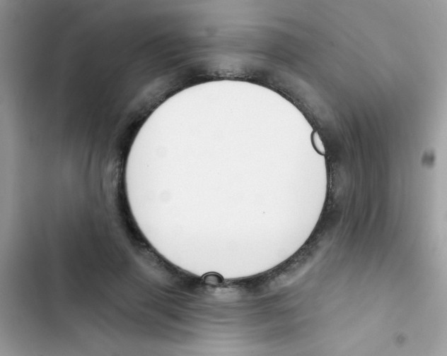 X0000103150645200809192030