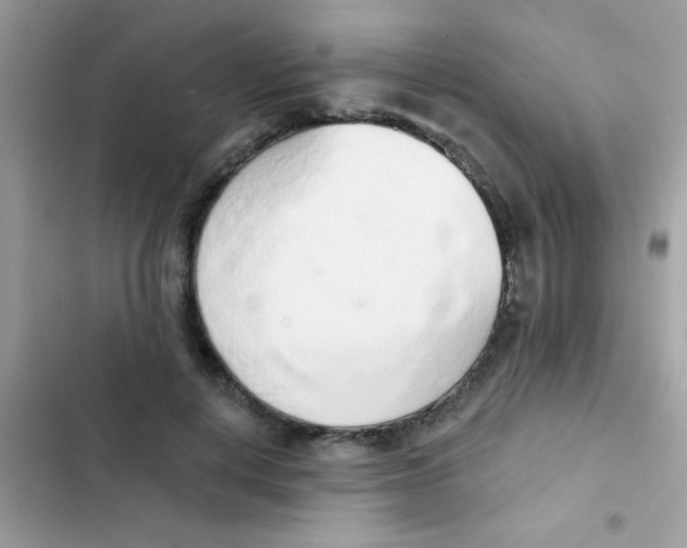 X0000103150648200809192030