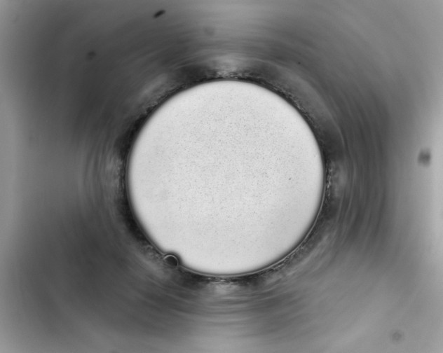 X0000103150650200809192030