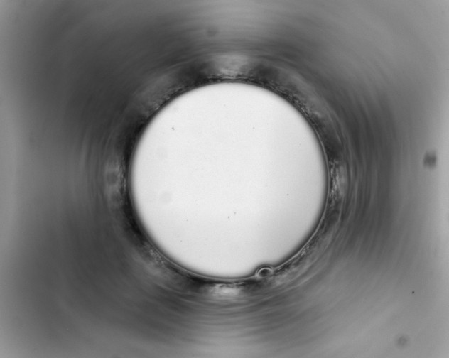 X0000103150651200809192030