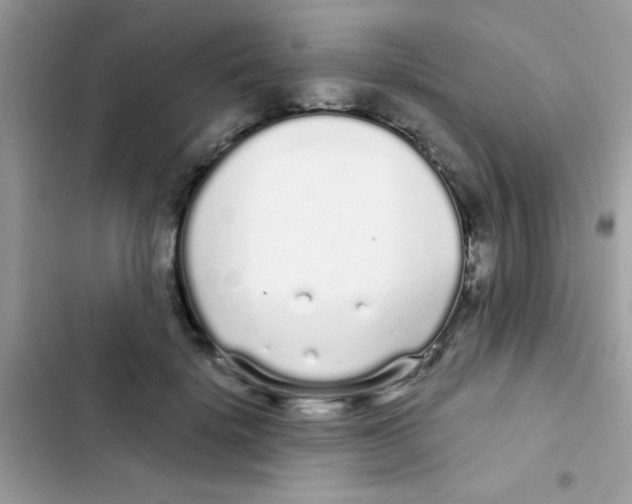 X0000103150652200809192030