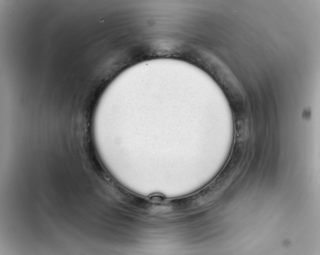 X0000103150653200809192030