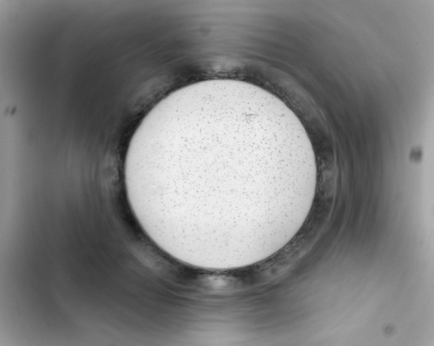 X0000103150654200809192030