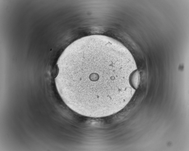 X0000103150655200809192030