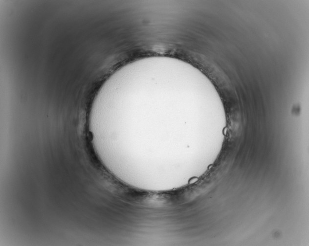 X0000103150656200809192030