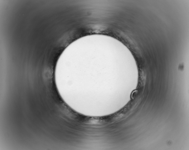 X0000103150657200809192030