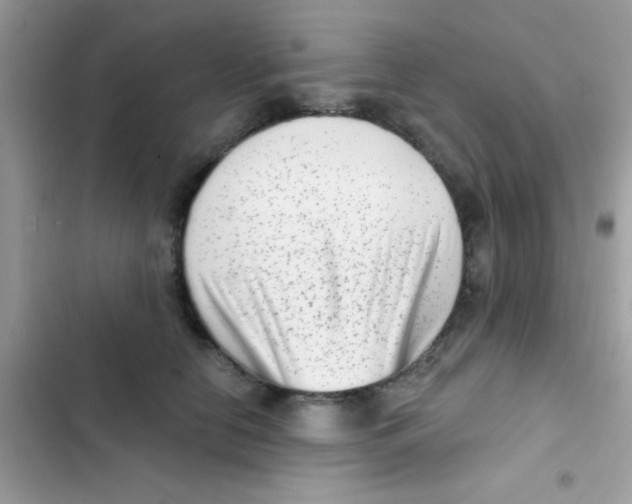 X0000103150658200809192030