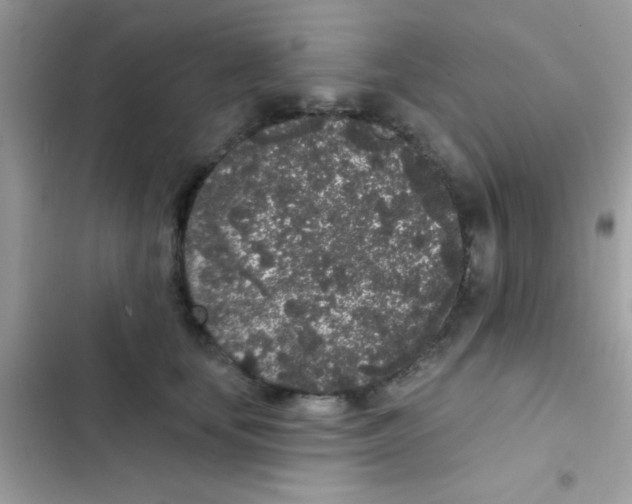 X0000103150659200809192031