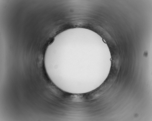 X0000103150660200809192031