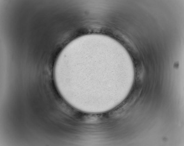 X0000103150661200809192031