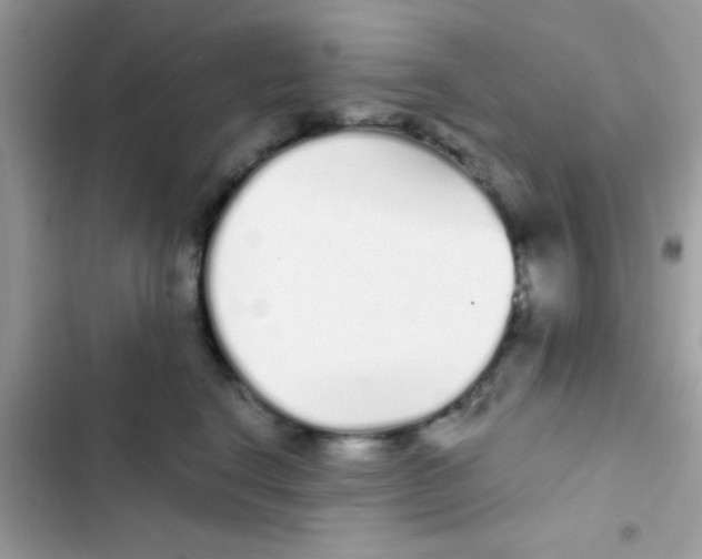 X0000103150664200809192031