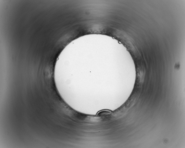 X0000103150665200809192031