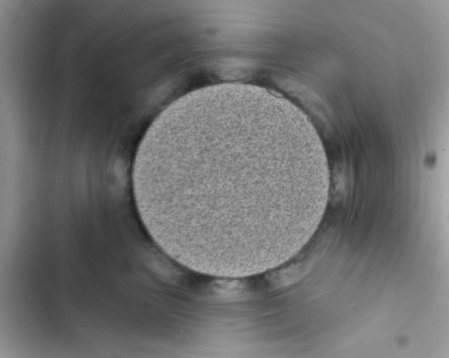 X0000103150667200809192031