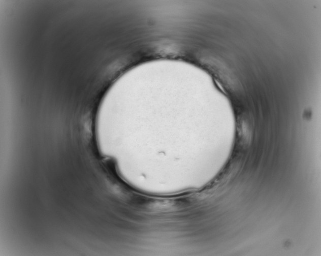 X0000103150668200809192031