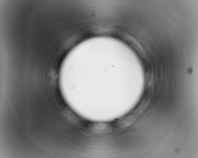 X0000103150669200809192031