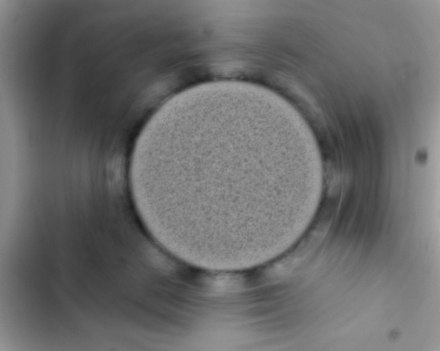 X0000103150670200809192031