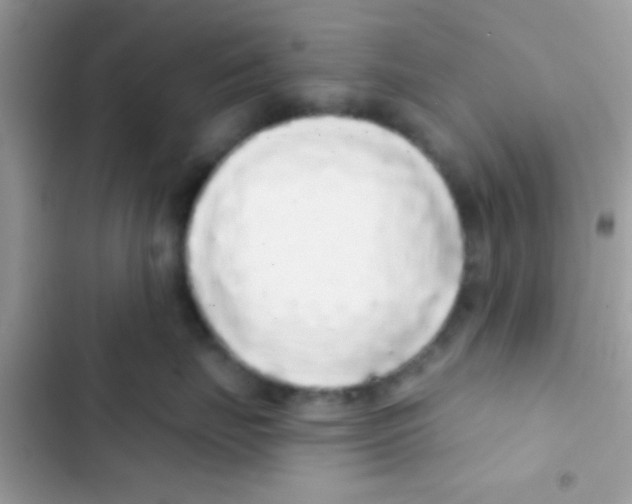 X0000103150671200809192031