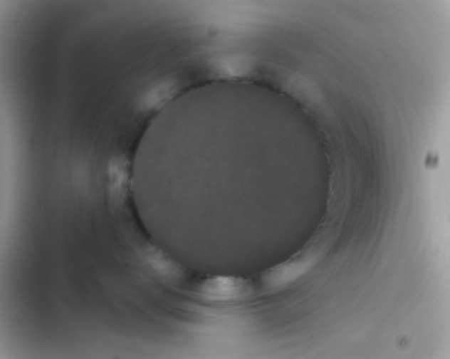 X0000103150672200809192031