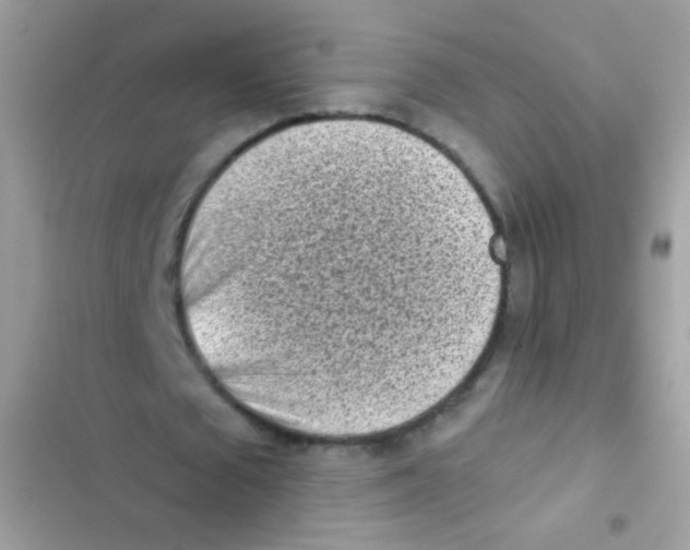 X0000103150673200809192030