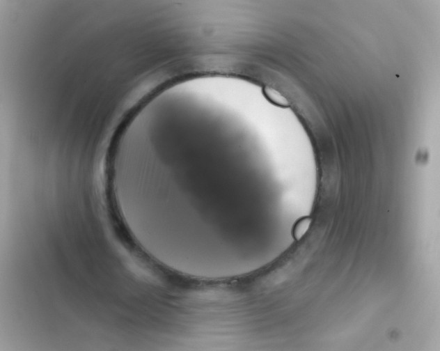 X0000103150674200809192030