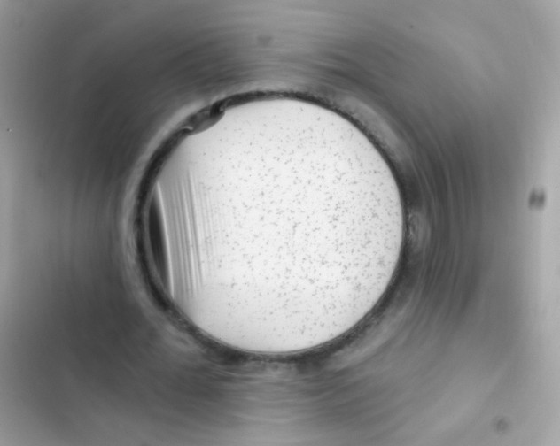 X0000103150676200809192030