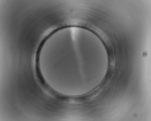 X0000103150678200809192030